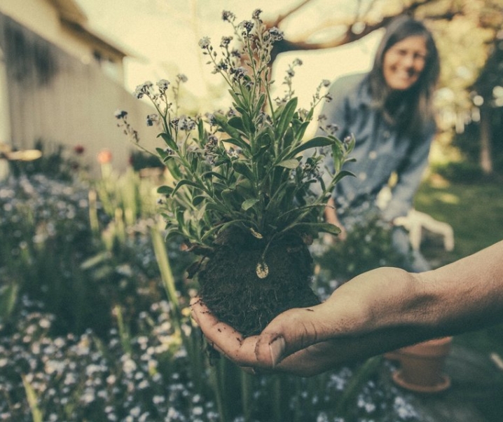 Kabar Gembira Untuk yang Hobi Berkebun