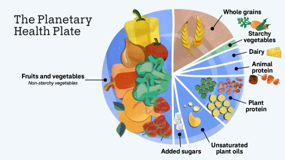 Planetary-diet-usia-tua