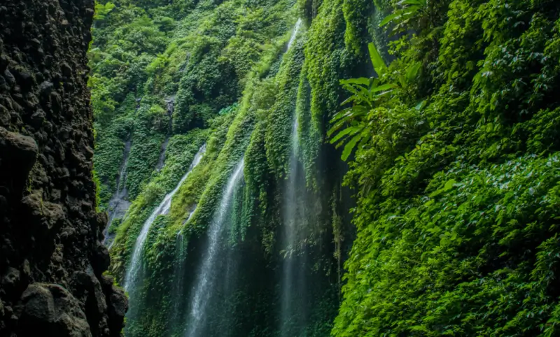 Air Terjun Madakaripura