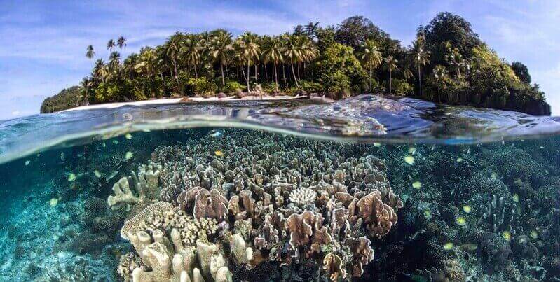 pulau-pisang-banda-neira