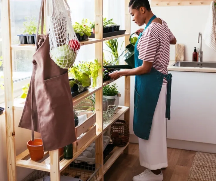 Langkah Mudah Membuat Kebun Sayuran di Dalam Rumah