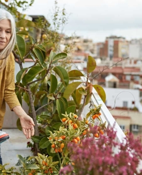 Slow Living: Seni Menikmati dengan Memperlambat Laju Kecepatan Hidup